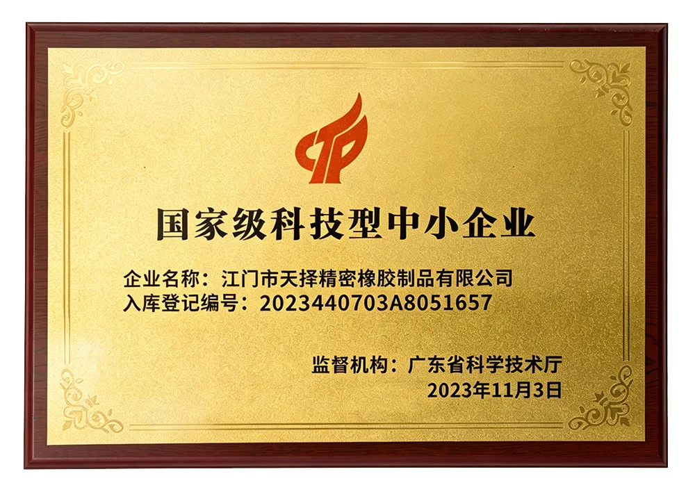 国家级科技型中小企业
